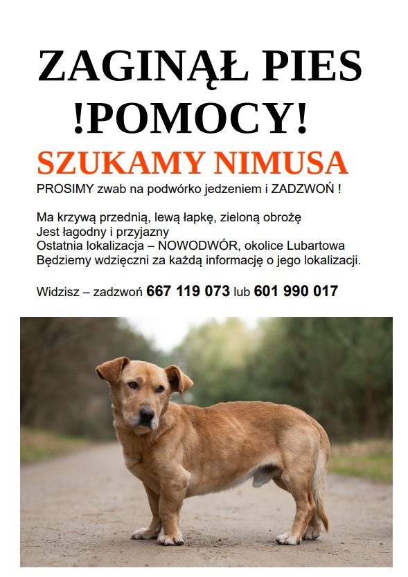 UWAGA NOWODWÓR I OKOLICE