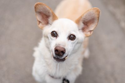 Muki