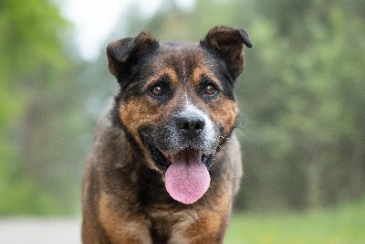Benny